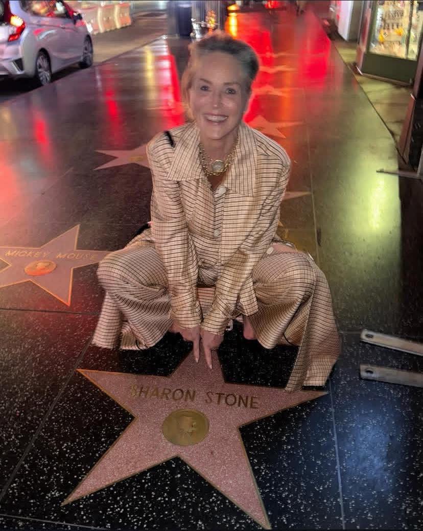 샤론 스톤, 과거 래퍼 넬리와 데이트…”두 번째 만남은 없었다”