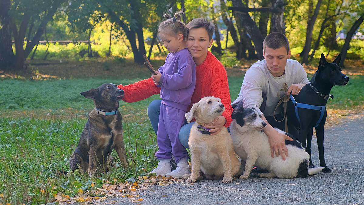 美 펜실베이니아주, 이혼 소송 시 반려동물 판단 기준 변경