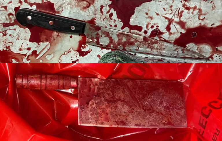 美 뉴욕서 조카 4명에 흉기 휘두른 남성…경찰 총격에 제압